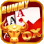 rummy app bonus 51 logo